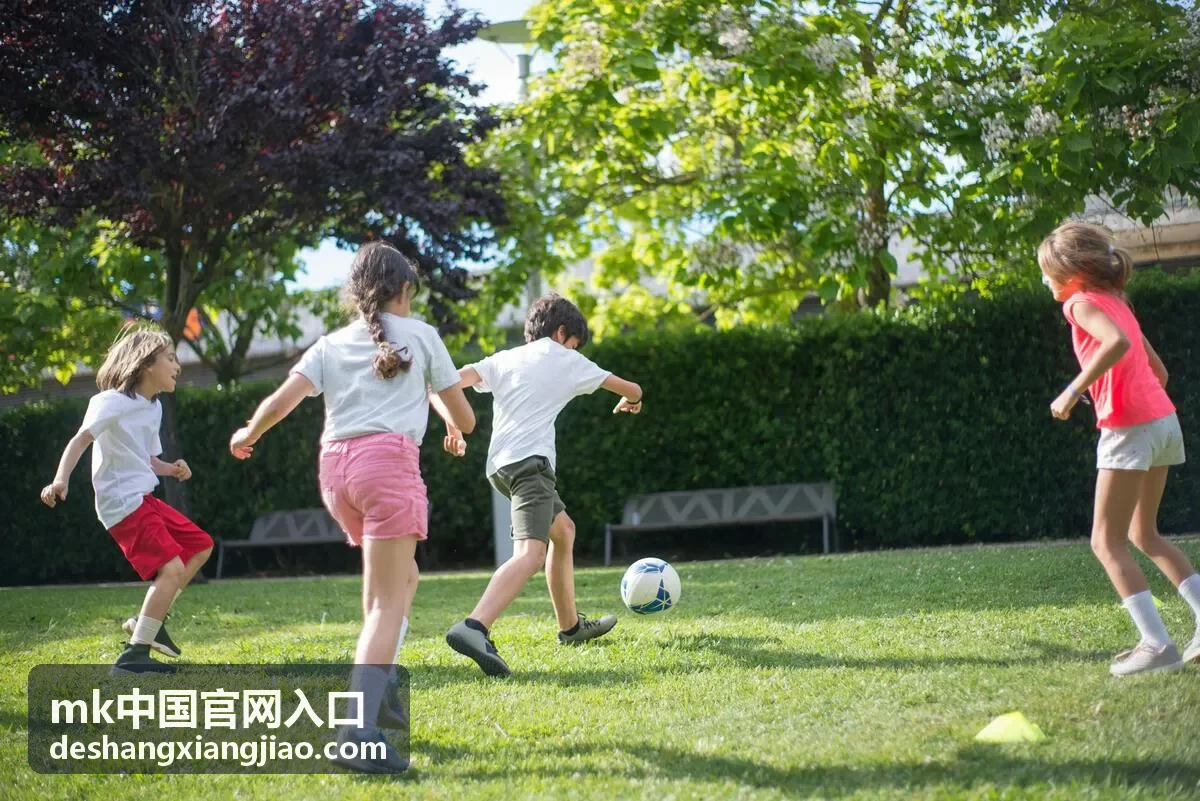 mk中国官网入口 官方入口路径说明