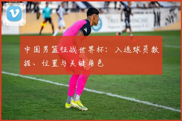 中国男篮征战世界杯:入选球员数据、位置与关键角色