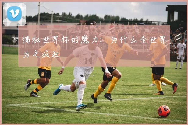 揭秘世界杯的魔力：为什么全世界为之疯狂