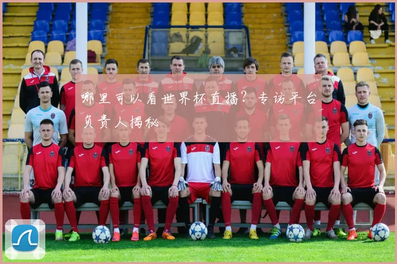 哪里可以看世界杯直播?专访平台负责人揭秘