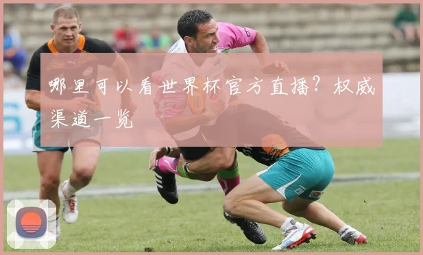 哪里可以看世界杯官方直播?权威渠道一览