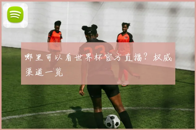 哪里可以看世界杯官方直播?权威渠道一览