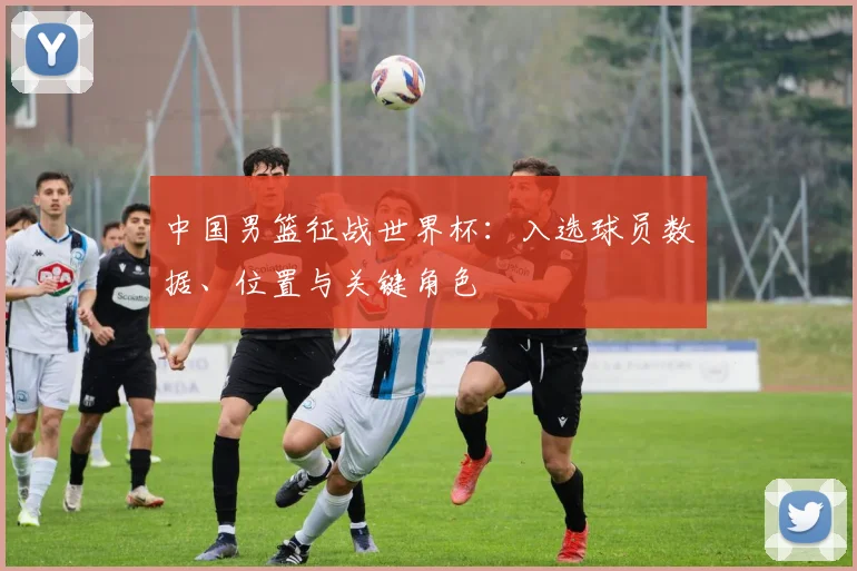 中国男篮征战世界杯:入选球员数据、位置与关键角色